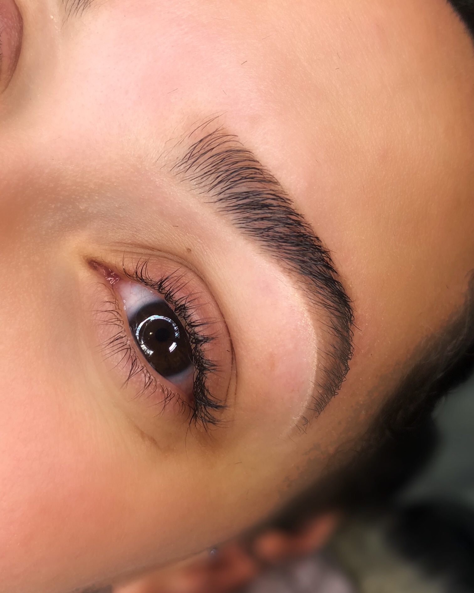 Waxology Brow Beauty Bar In North Haven Ct Vagaro